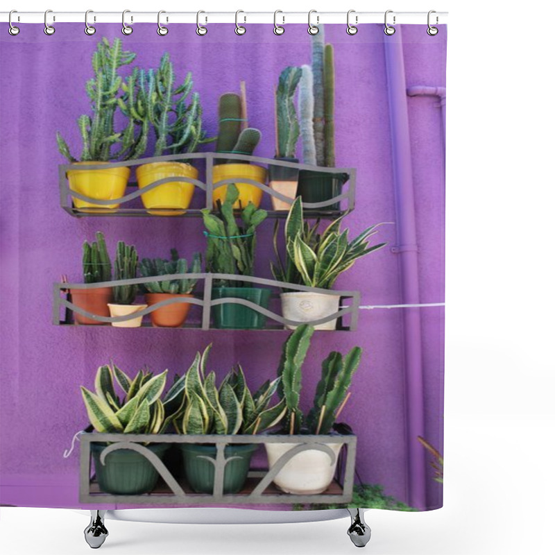 Personality  Succulents Plants Shower Curtains