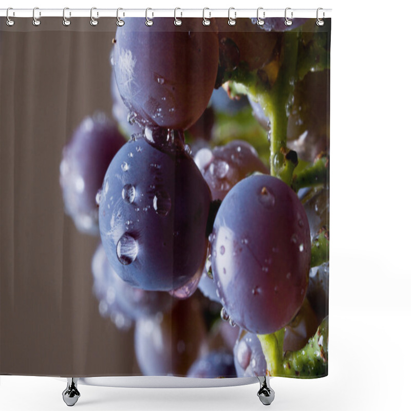 Personality  Grapes On The Vine Shower Curtains