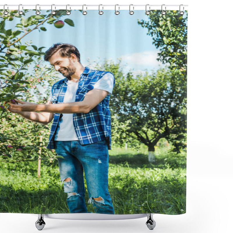 Personality  Handsome Farmer Checking Ripe Apple On Tree In Garden Shower Curtains