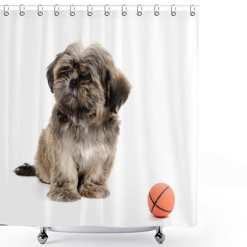 Personality  Shih Tzu Playing With Ball Shower Curtains