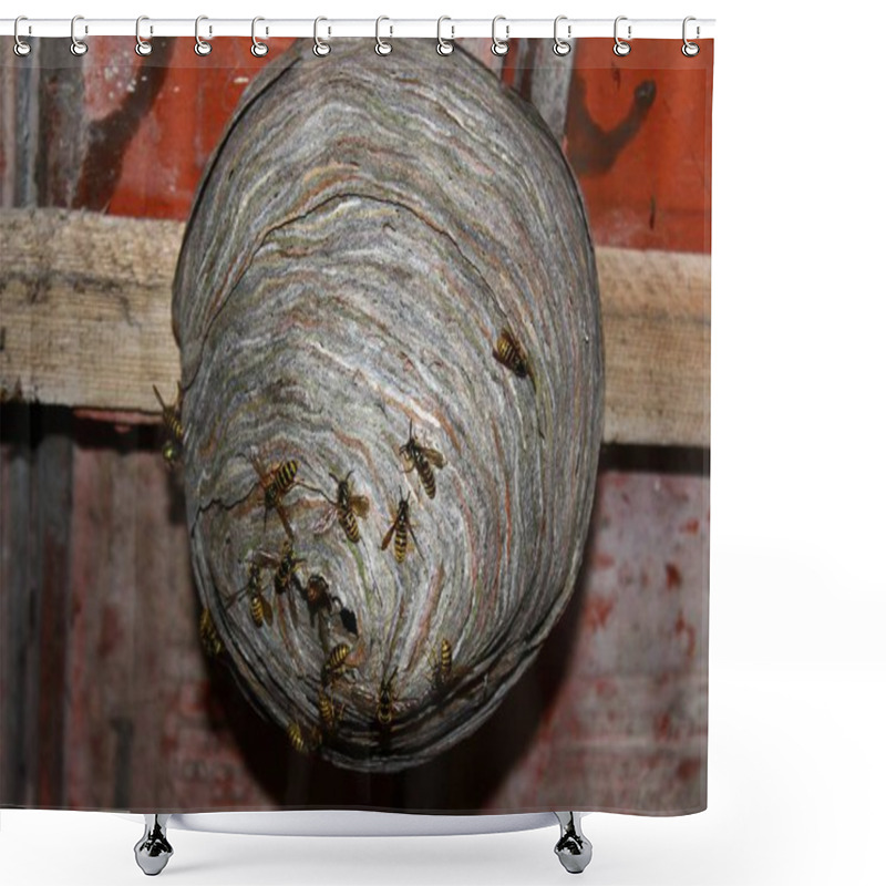 Personality  Wasps Nest And Wasps On The Ceiling Shower Curtains