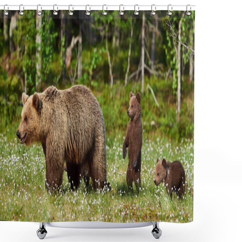 Personality  Female Brown Bear And Her Cubs Shower Curtains