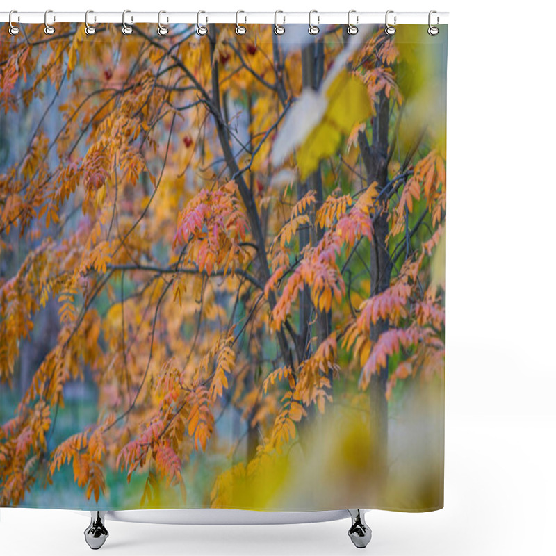 Personality  The Delicate Details Of Orange-tinged Leaves On A Branch, Set Against A Blurred Backdrop Of Autumnal Foliage, A Harmonious Dance Of Fall's Fiery Hues. Shower Curtains