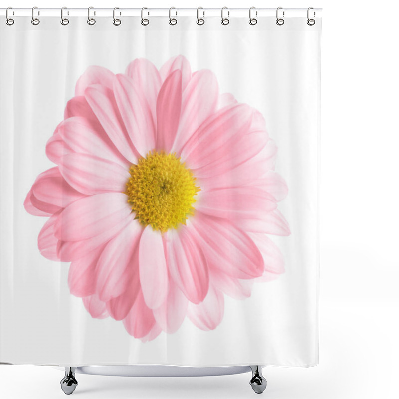 Personality  Beautiful Pink Chrysanthemum Flower On White Background, Top View Shower Curtains