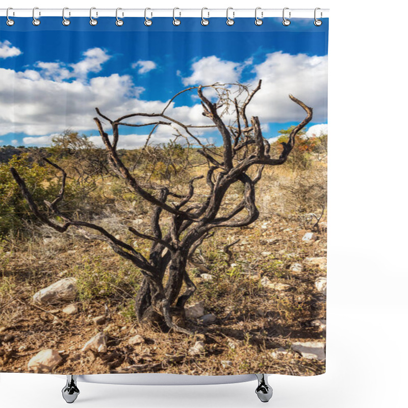 Personality  Powerful Image Of A Scorched Tree After A Forest Fire In The Cyprus Mountains, Highlighting The Devastating Impact Of Natural Disasters Shower Curtains