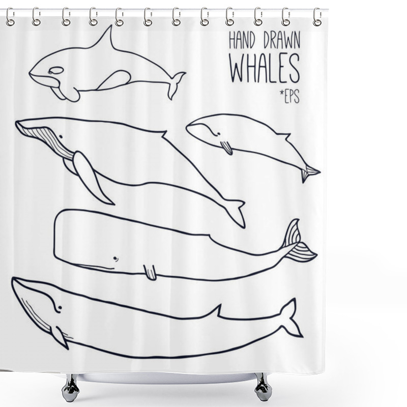 Personality  Hand Drawn Whales Set Shower Curtains