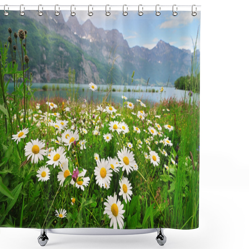 Personality  Daisy Flowers Near The Alpine Lake Shower Curtains