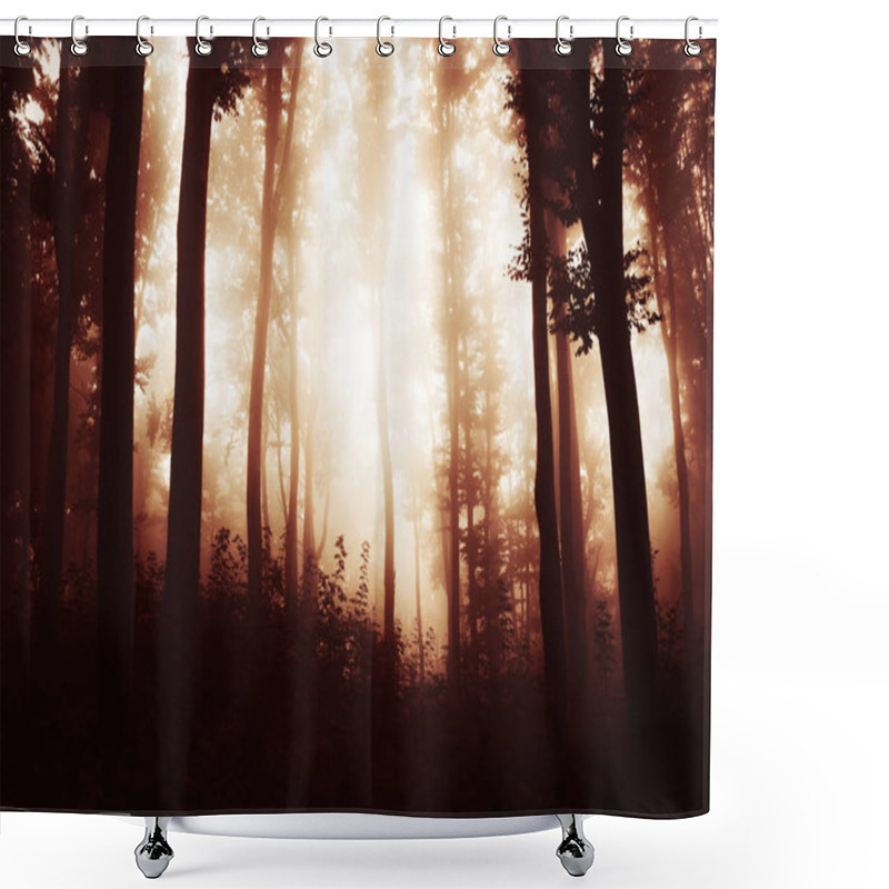 Personality  Sunset Light In Dark Woods Background Shower Curtains