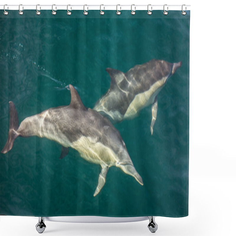 Personality  Group Of Dolphins Underwater Swimming In Ocean Shower Curtains