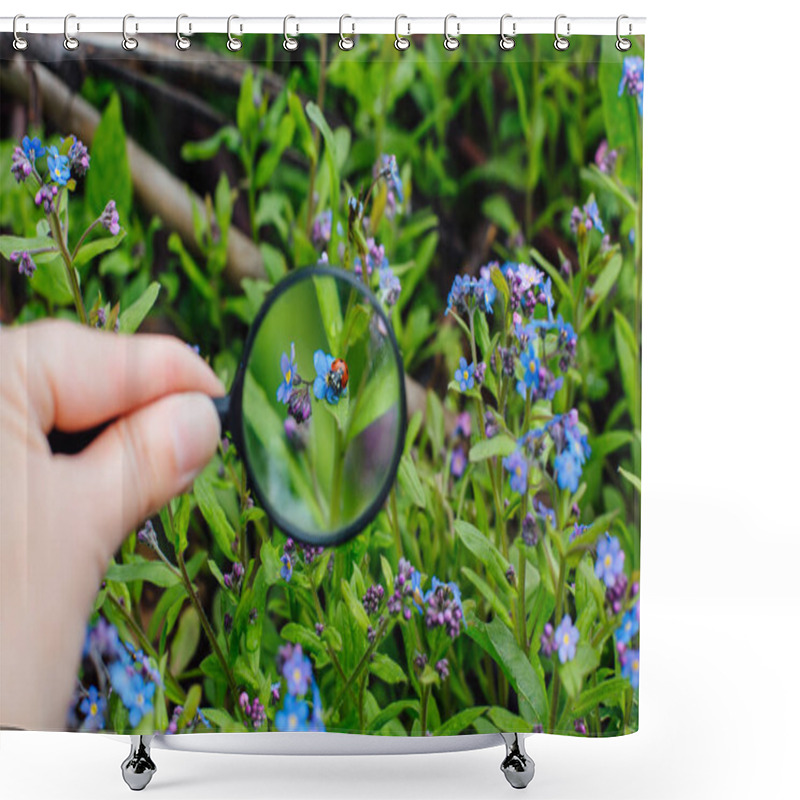 Personality  Ladybug Sitting On Flower Through A Magnifying Glass Shower Curtains