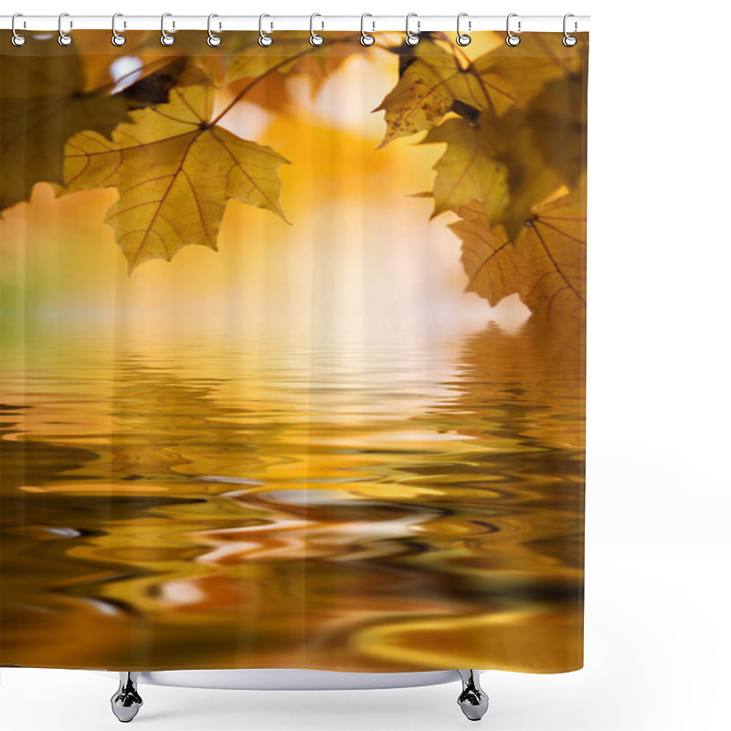 Personality  Maple In Autumn Shower Curtains