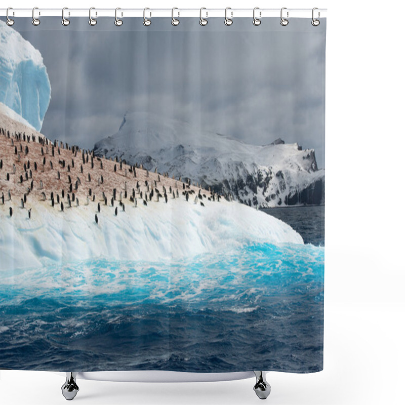 Personality  Colony Of Penguins On Iceberg Shower Curtains