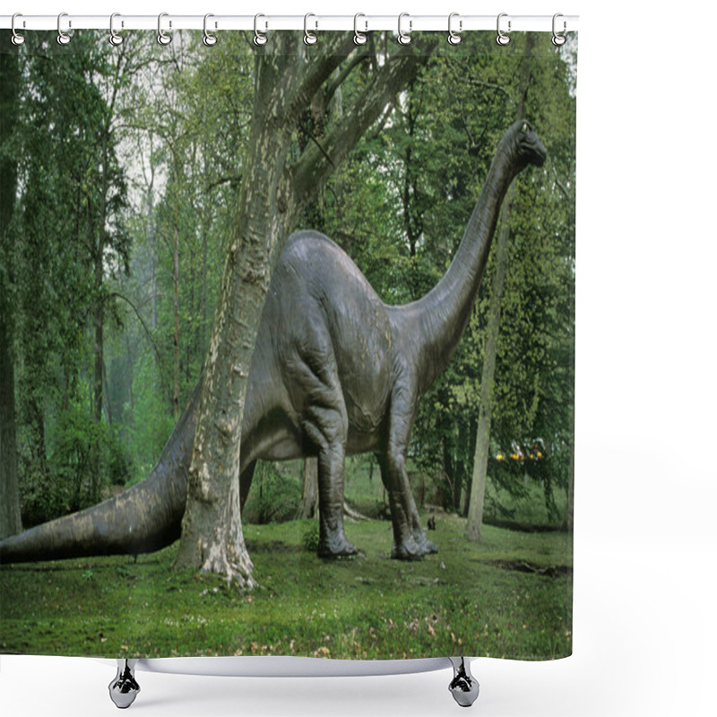 Personality  Diplodocus, Gigantic Herbivorous Sauropods From The Late Jurassic Period     Shower Curtains