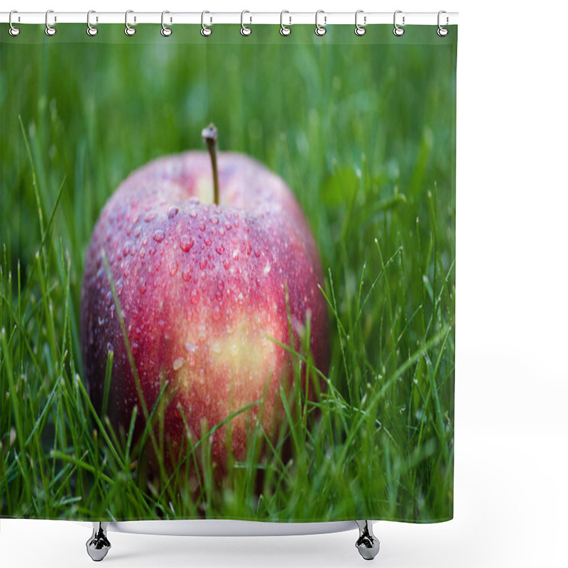 Personality  Fresh Ripe Apple In Grass  Shower Curtains