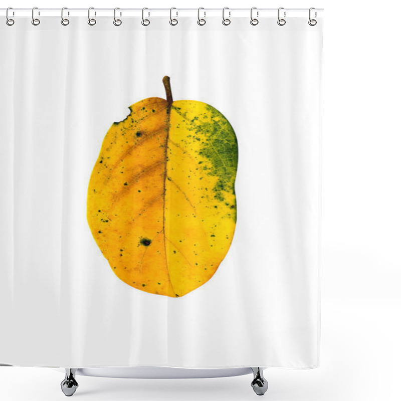 Personality  Antidesma Thwaitesianum Leaves. Shower Curtains