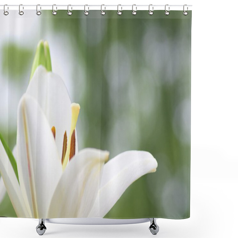 Personality  Cute White Lily Flowers Shower Curtains