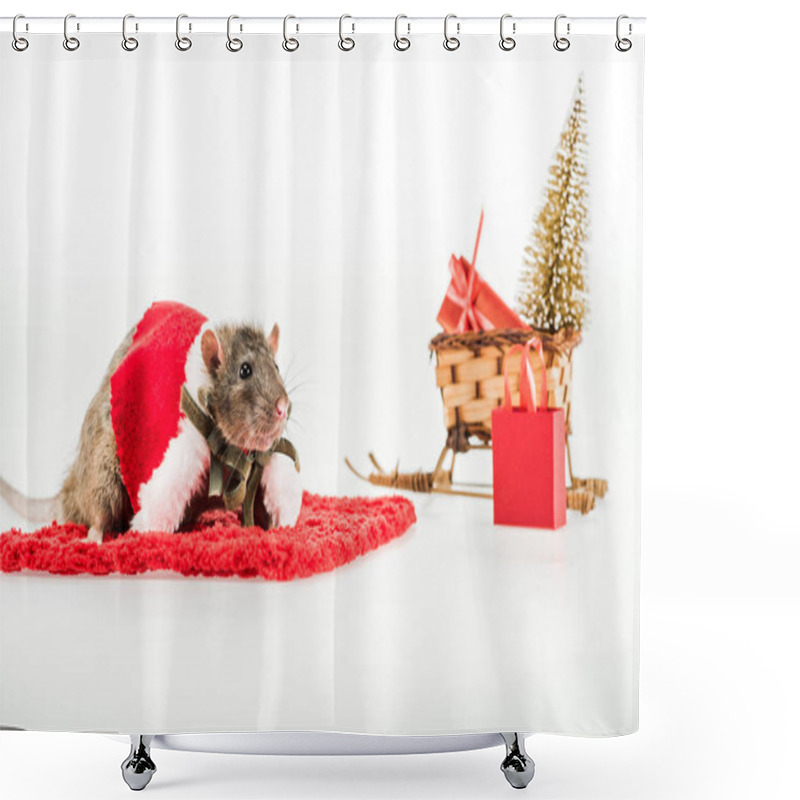 Personality  Selective Focus Of Rat In Costume On Red Carpet On White Background In New Year  Shower Curtains