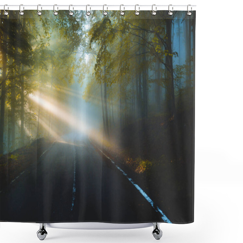 Personality  Abstract Background Of Route And Journey Amidst The Big Tree And Beautiful Nature. Sun Beams Through Tree With Amazing Light Rays On Sunrise. Shower Curtains