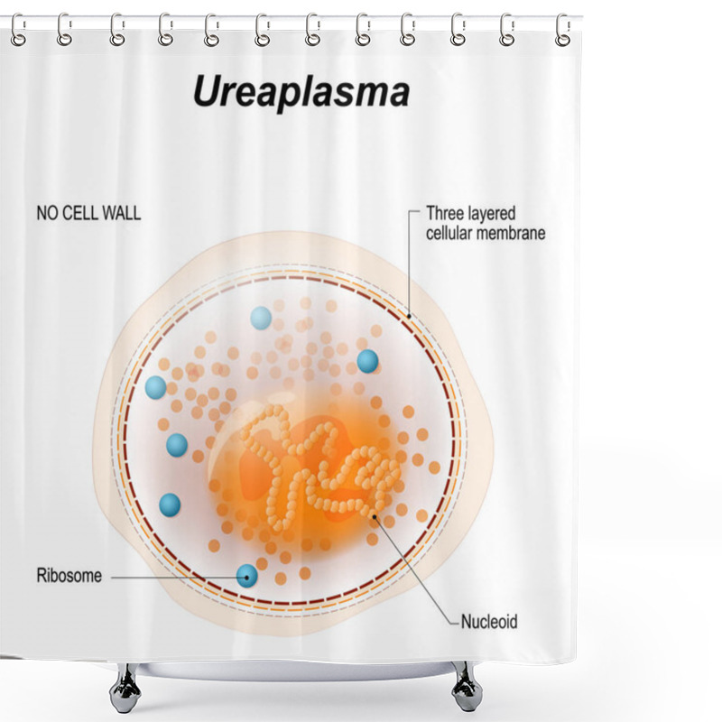 Personality  Cell Of The Ureaplasma Or Mycoplasma Shower Curtains