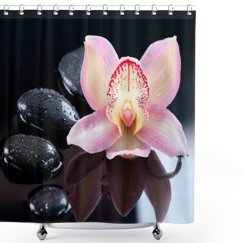 Personality  Zen Stones And Orchid Flower. Stone Massage Shower Curtains