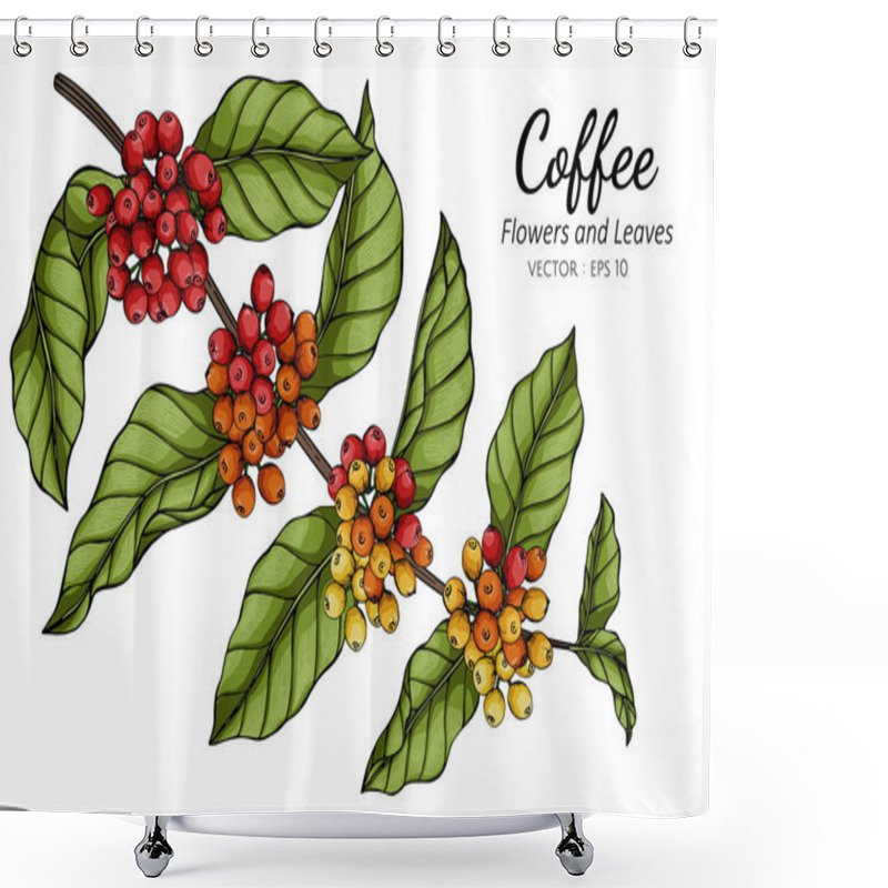 Personality  Coffee Flower And Leaf Drawing Illustration With Line Art On White Backgrounds. Shower Curtains