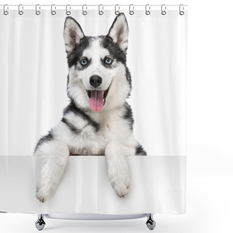 Personality  Husky Dog Portrait Above White Shower Curtains