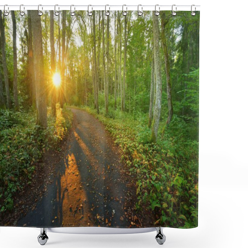 Personality  Road In The Morning Forest Shower Curtains