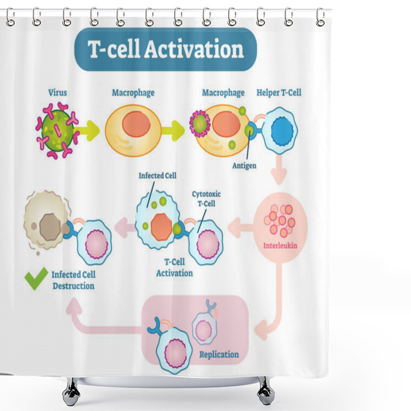 Personality  T-Cell Activation Diagram, Vector Scheme Illustration.  Shower Curtains