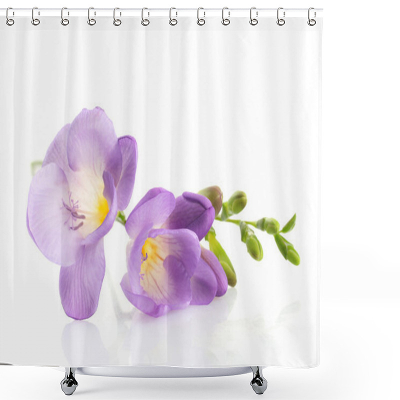 Personality  Purple Freesia Flower, Isolated On White Shower Curtains