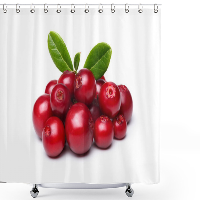 Personality  Cowberry (foxberry,lingonberry) Shower Curtains