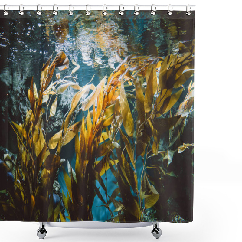 Personality  Underwater View Of Green Plants Shower Curtains