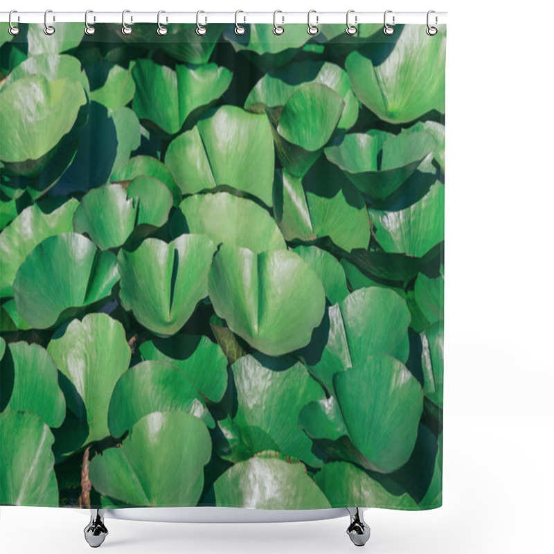 Personality  Lotus Leaves With Drops Of Water. Oriental Garden. Natural Exoti Shower Curtains