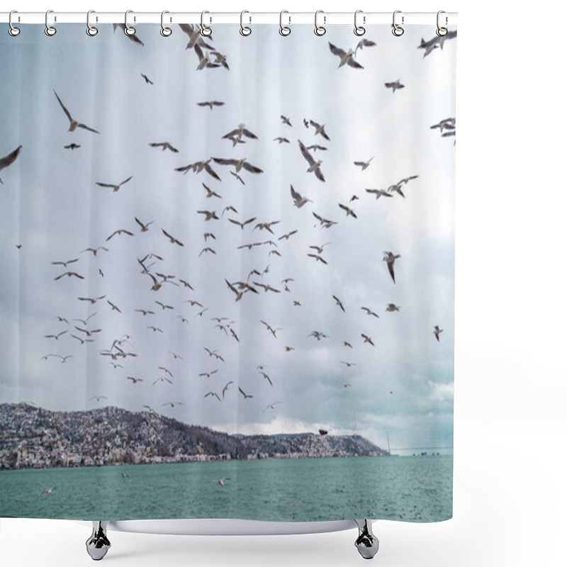 Personality  Sitting And Flying Group Or Flock Of Seagulls On A Pier Near The Water On A Sunny Day. Seagulls Preen Their Feathers Group. Light Waves On The Water. Stanbul Tarabya Shower Curtains