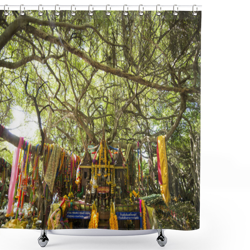 Personality  The Mangrove Forest Park Of The Sai Ngam Bayan Tree In The Town Of Phimai In The Provinz Nakhon Ratchasima In Isan In Thailand. Thailand, Phimai, November, 2017. Shower Curtains