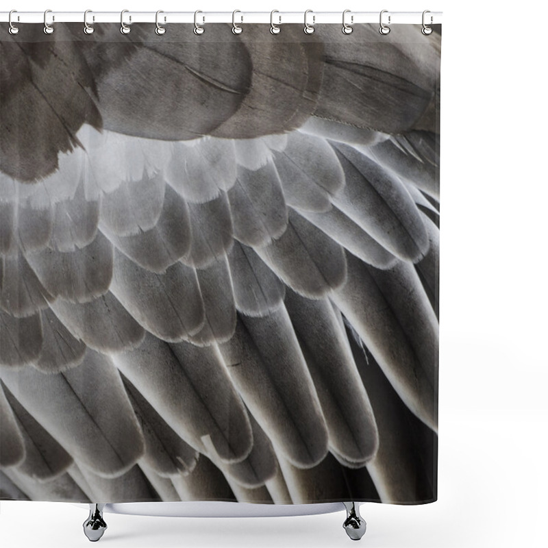 Personality  Bird Wing Detail Texture Shower Curtains