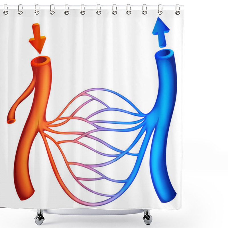 Personality  Blood Circulation Shower Curtains