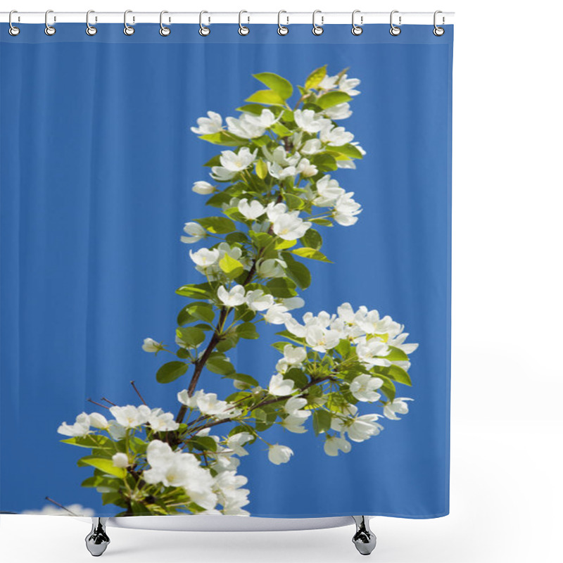 Personality  Apple-tree Flowers Shower Curtains