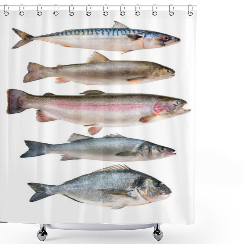 Personality  Fish Collection Shower Curtains