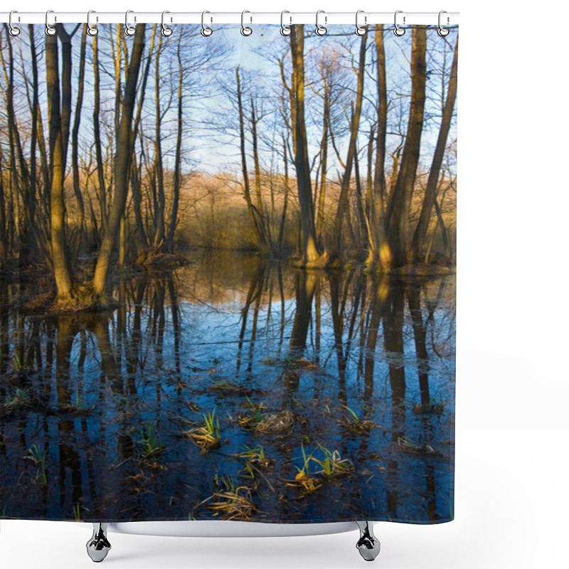 Personality  Evening In Flooded Oak Forest Shower Curtains