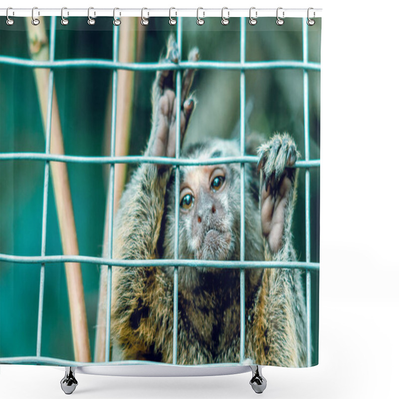 Personality  The Monkey Is Behind Bars. In A Cage. In The Zoo Shower Curtains