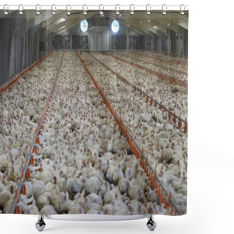 Personality  Meat Production Factory - Broiler Chickens. Shower Curtains