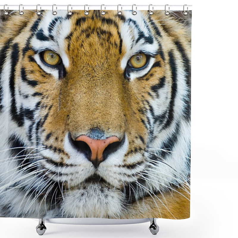 Personality  Tiger Isolated Shower Curtains