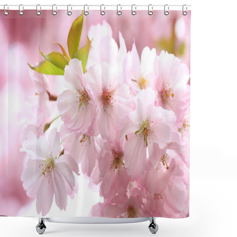 Personality  Flourishing Japanese Cherry Tree Branches Shower Curtains