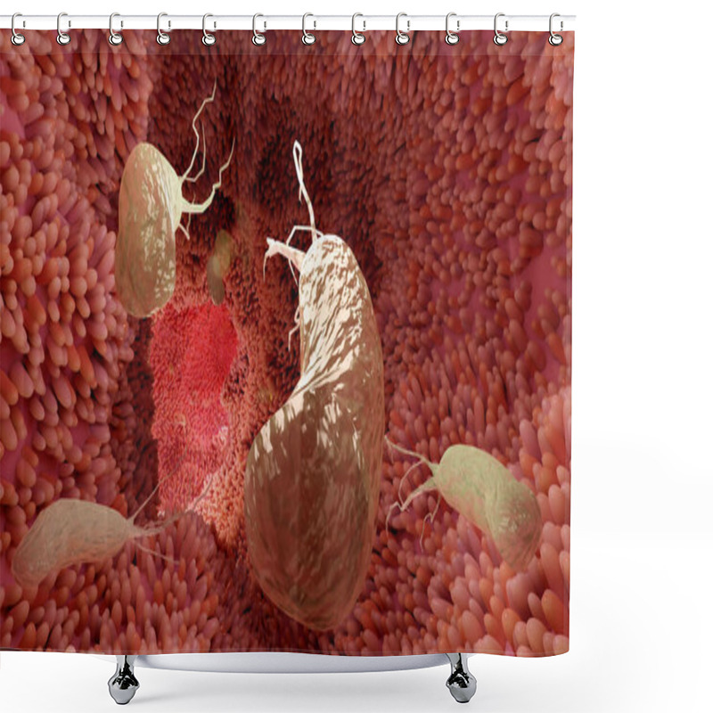 Personality  Helicobacter Pylori Illustration Microaerophilic Bacterium Which Infects Various Areas Of The Stomach And Duodenum. Microvilli Surface. Bacteria And Viruse. 3d Render Shower Curtains