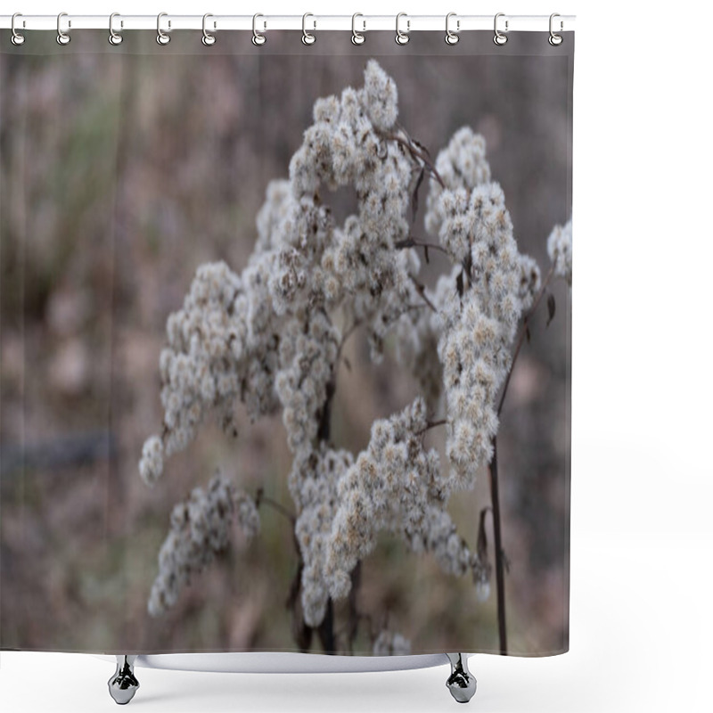 Personality  A Soft Focus Photograph Of Dried White Wildflowers In A Natural Setting. The Intricate Clusters Of Fluffy Seed Heads Give An Ethereal And Delicate Feel. Perfect For Illustrating Themes Of Nature Shower Curtains