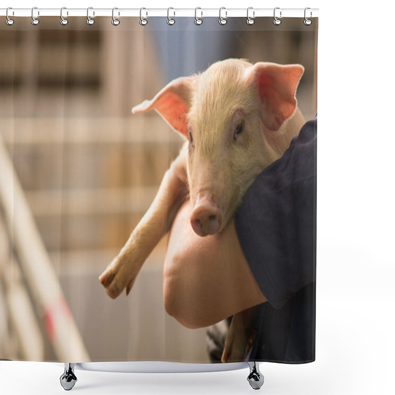 Personality  Pig At Factory Shower Curtains