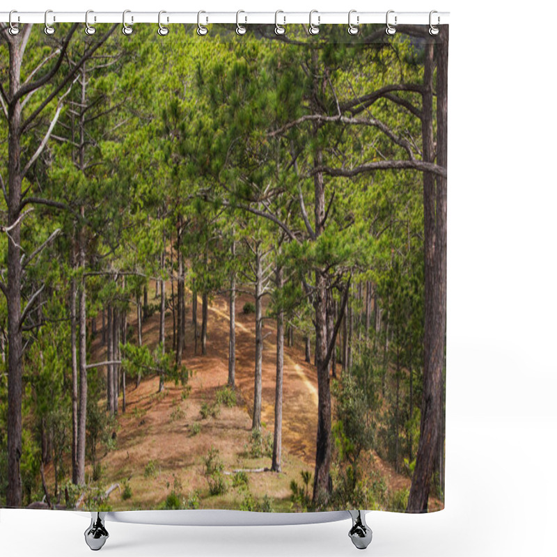 Personality  Forest Shower Curtains