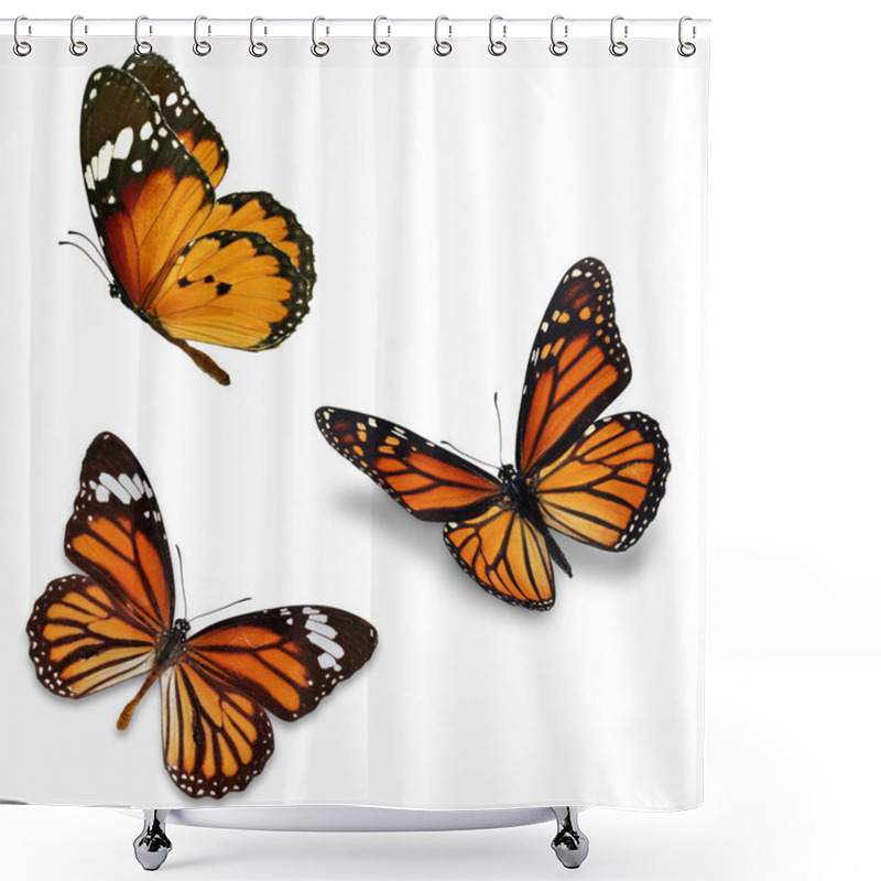 Personality  Three Monarch Butterfly Shower Curtains