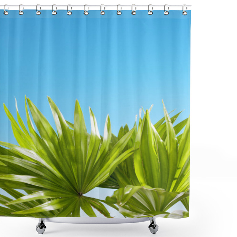 Personality  Palm Leaves On Blue Shower Curtains