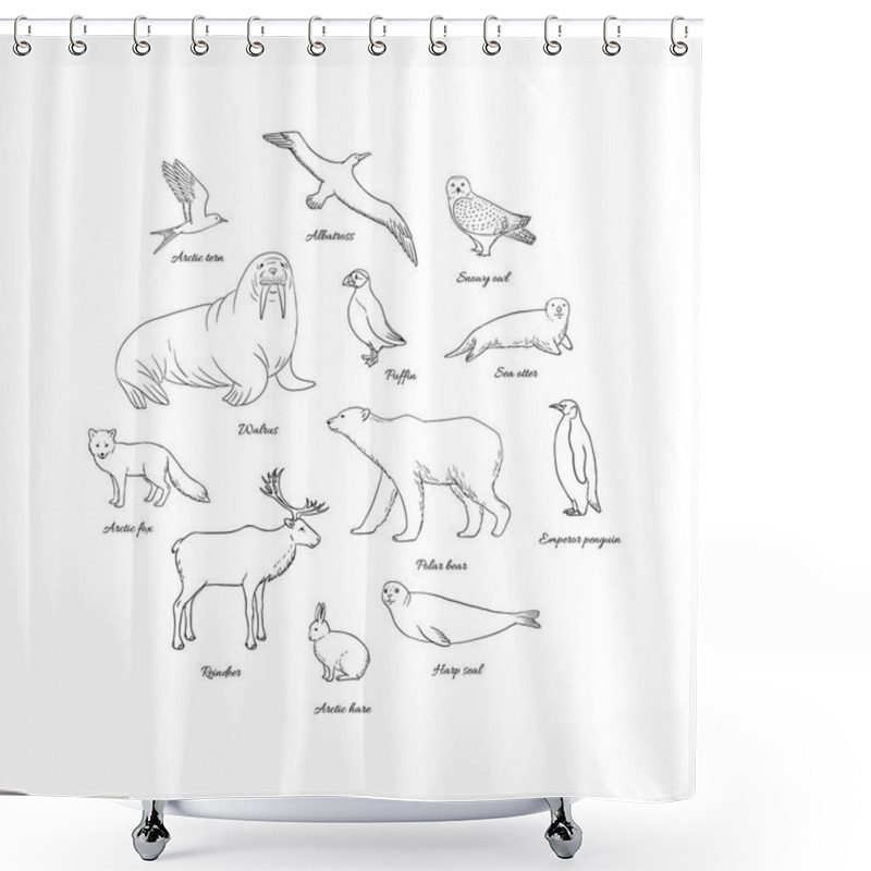 Personality  Arctic Animals Set In Circle. Polar Mammals And Birds Line Art With Walrus, Albatross, Polar Bear, Snowy Owl, Reindeer, Arctic Fox, Puffin, Harp Seal, Hare, Penguin And Arctic Tern. Vector Realistic Illustration On White Background Shower Curtains